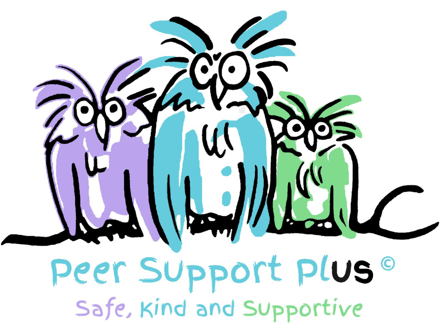 Peer Support Plus